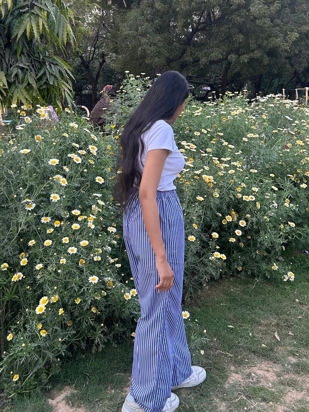 Blue Striped Poplin Pants
