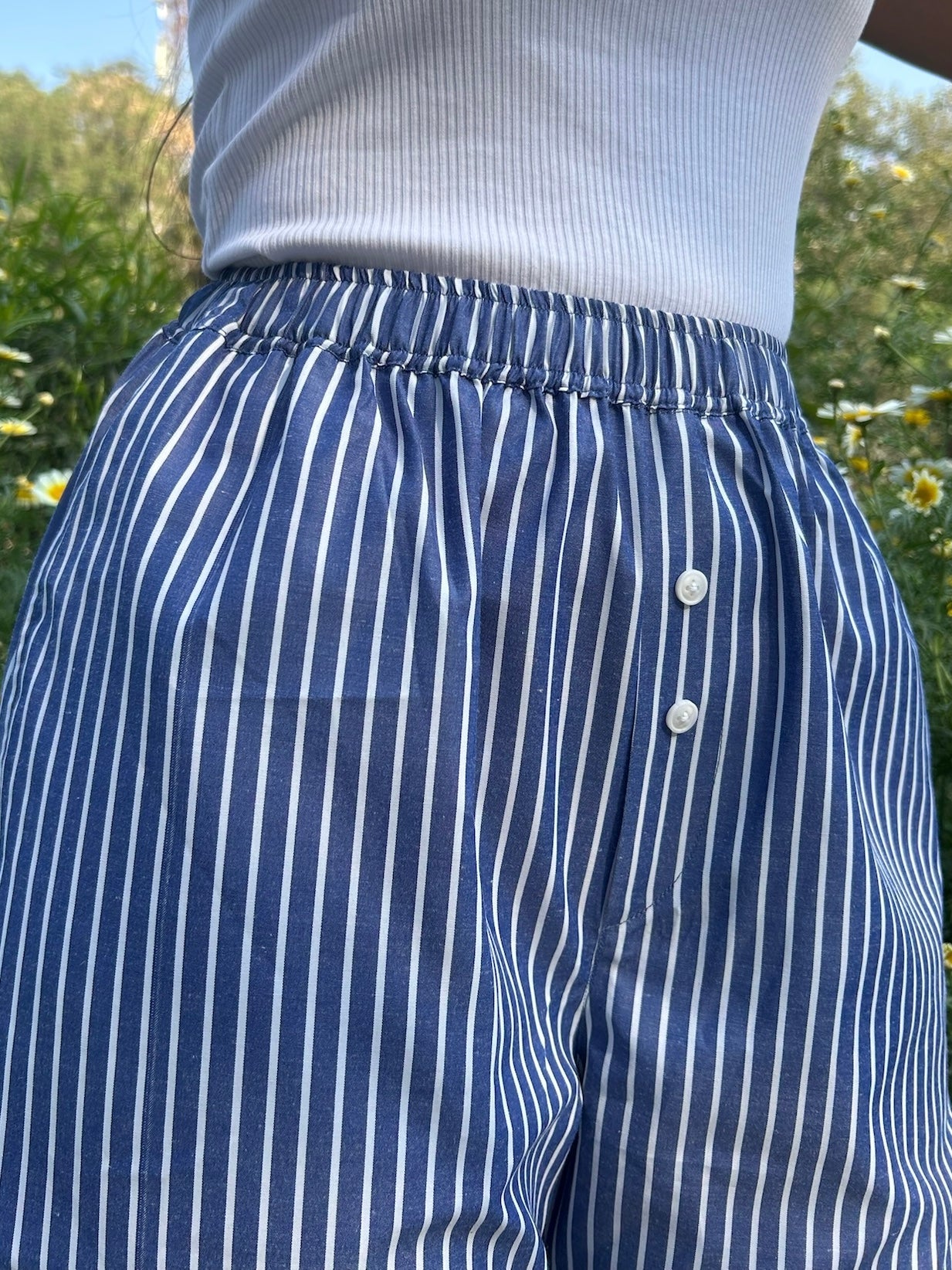 Blue Striped Poplin Pants